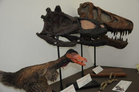Feras do Cretáceo: da esq. para a dir., Velociraptor, Carnotaurus sastrei, Abelisaurus comahuensis e Tyrannosaurus rex